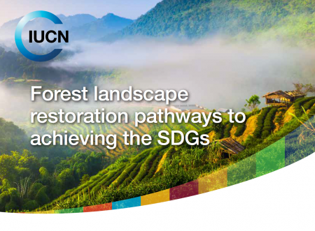 SDG 15.3: End Desertification And Restore Degraded Land | ICCROM | Our ...